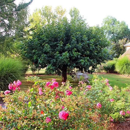 Du Lavoir Holiday home